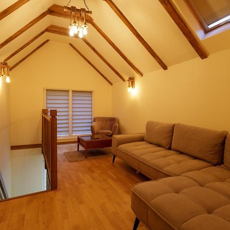 The Cozy Nook - Ultra Central ブラショフ エクステリア 写真